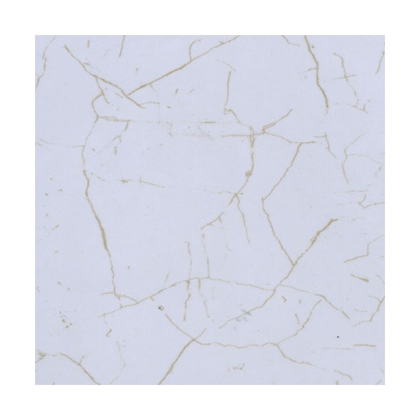 l6009en